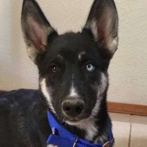 Meet your Posher, Tracy